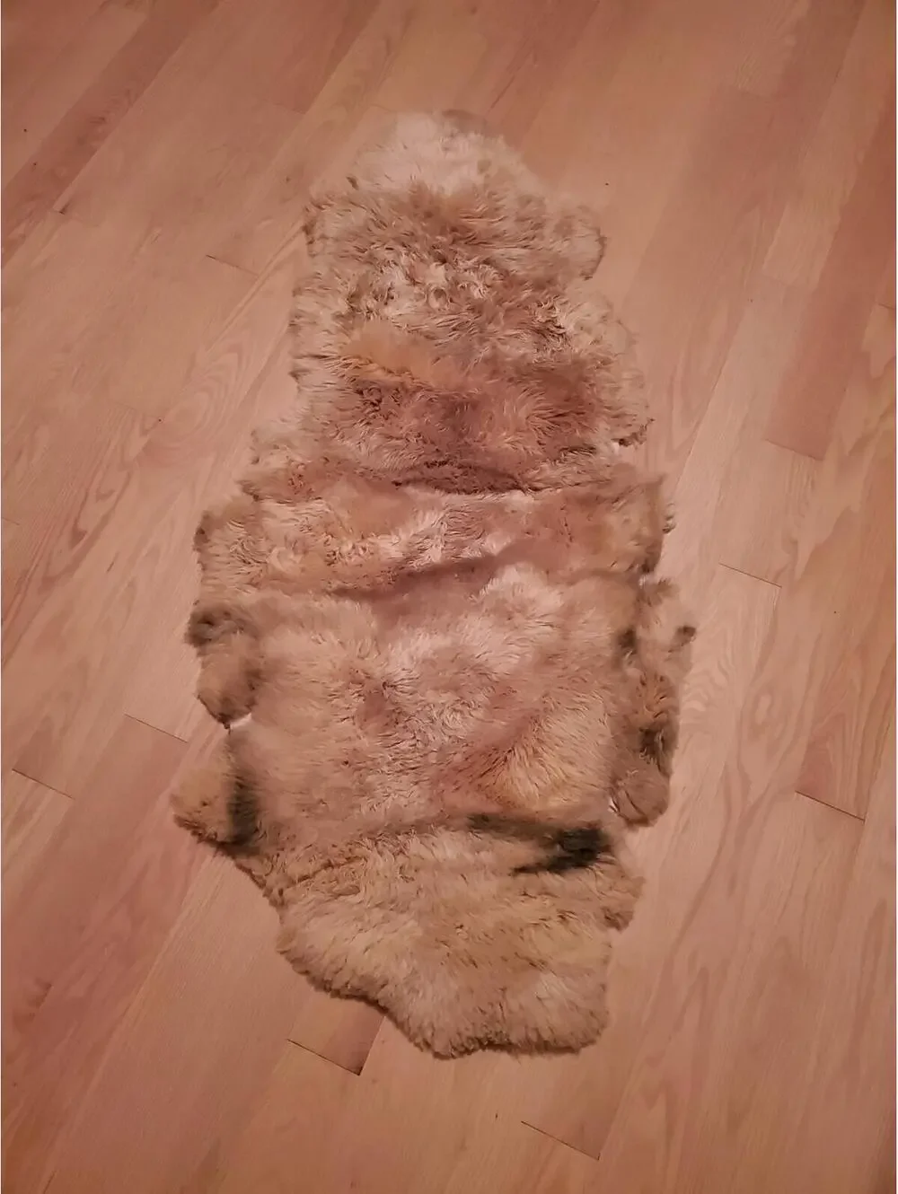 Eagle Wools Natural Sheepskin Rug / Hide Throw